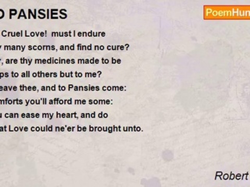 Robert Herrick - TO PANSIES