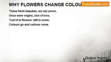 Robert Herrick - WHY FLOWERS CHANGE COLOUR
