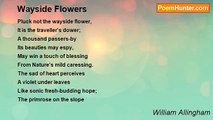 William Allingham - Wayside Flowers