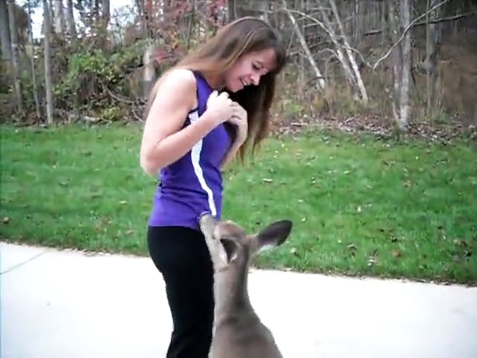 Deer having bottle in the kitchen