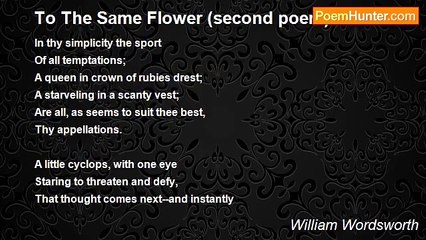 William Wordsworth - To The Same Flower (second poem)