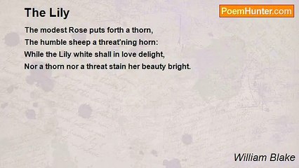 William Blake - The Lily