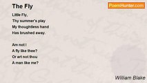 William Blake - The Fly