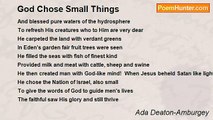 Ada Deaton-Amburgey - God Chose Small Things