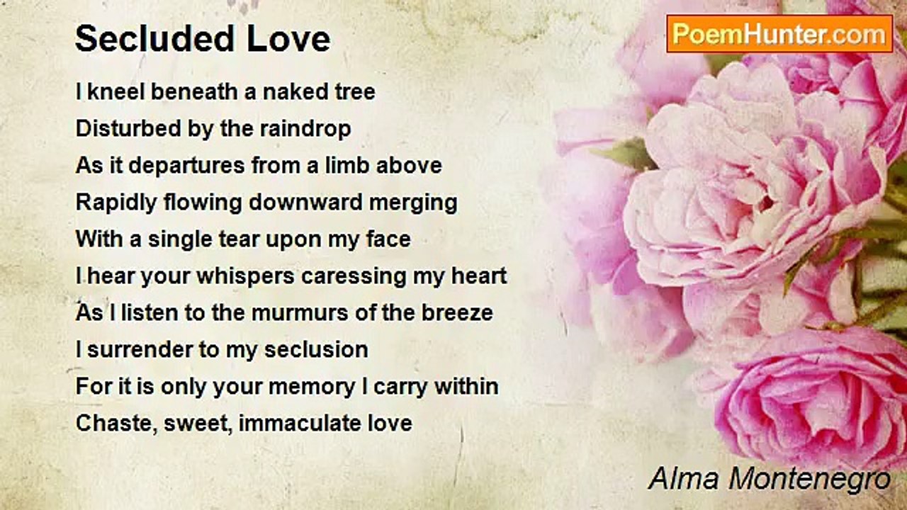 Alma Montenegro - Secluded Love
