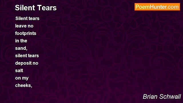 Brian Schwall - Silent Tears