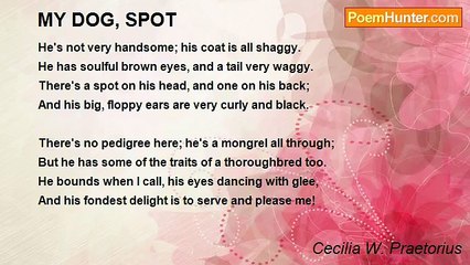 Cecilia W. Praetorius - MY DOG, SPOT