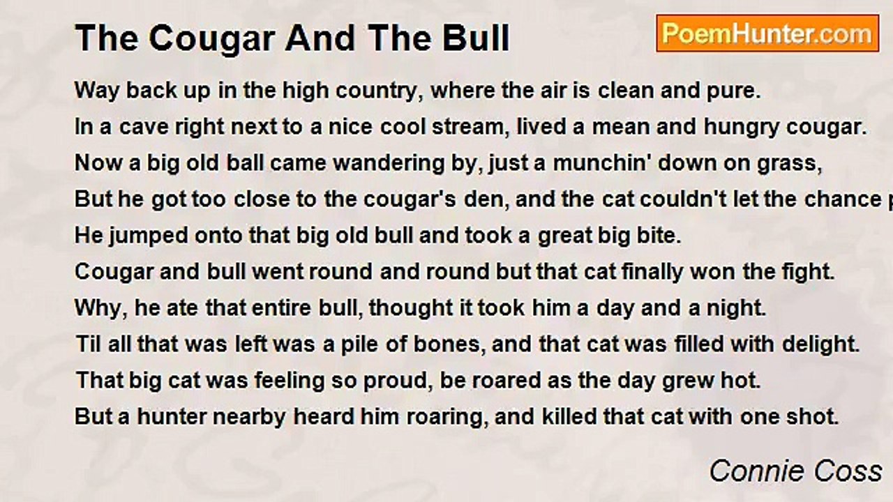 Connie Coss - The Cougar And The Bull