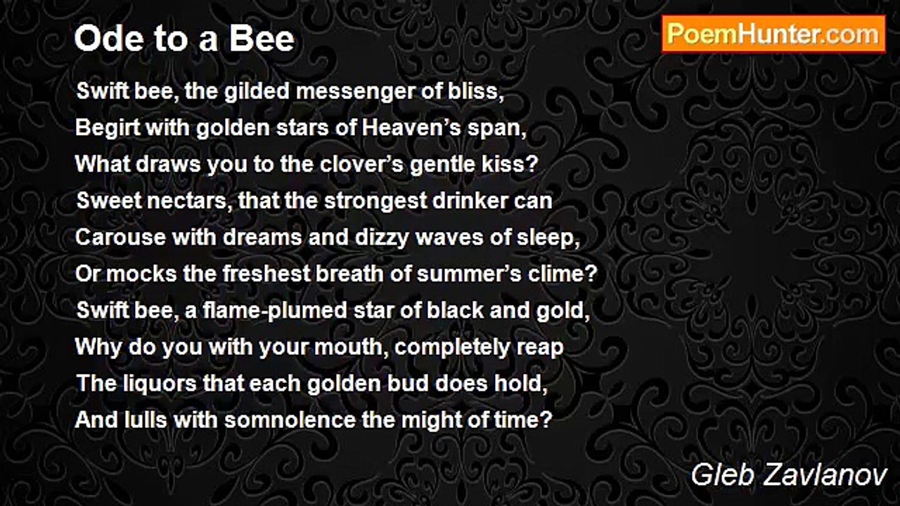 Gleb Zavlanov - Ode to a Bee