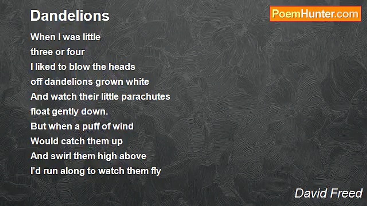 David Freed - Dandelions