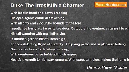 Dennis Peter Nicolle - Duke The Irresistible Charmer