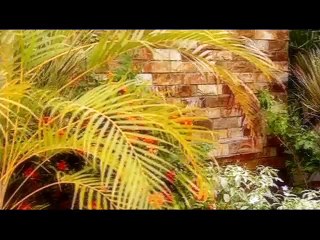Band Khirkiyon kay peechy ep 69 seg 01