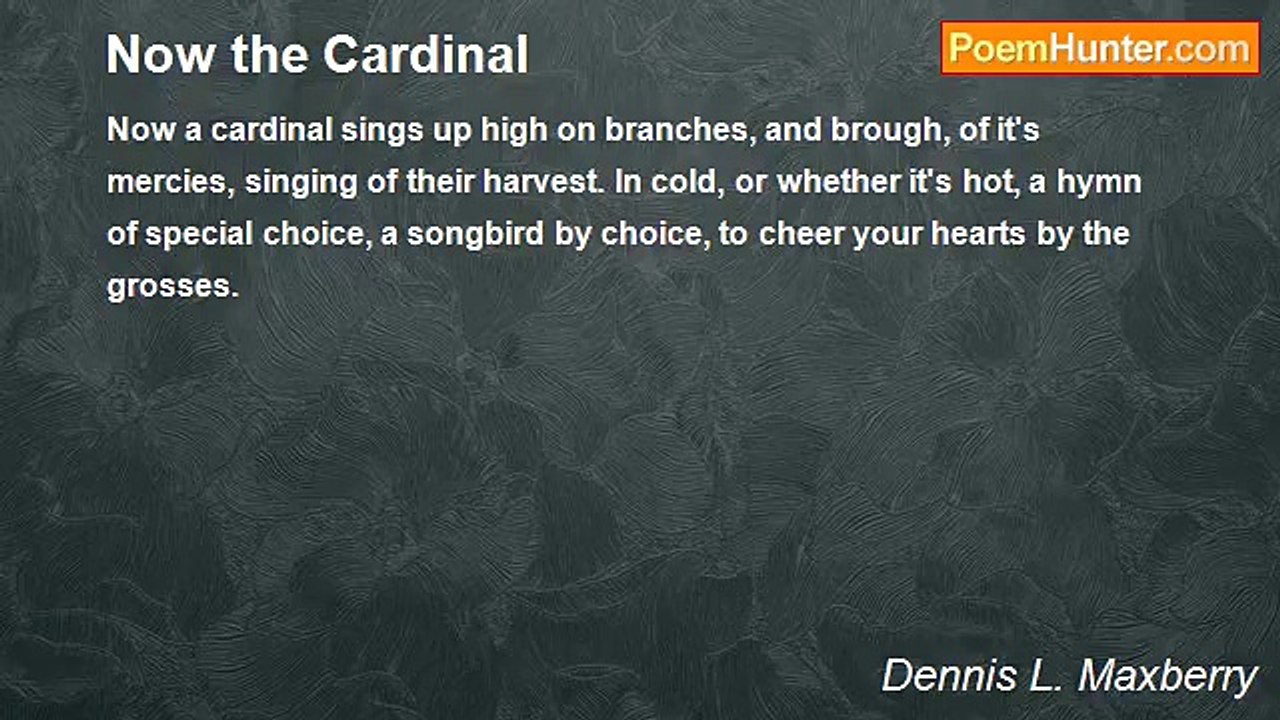 Dennis L. Maxberry - Now the Cardinal