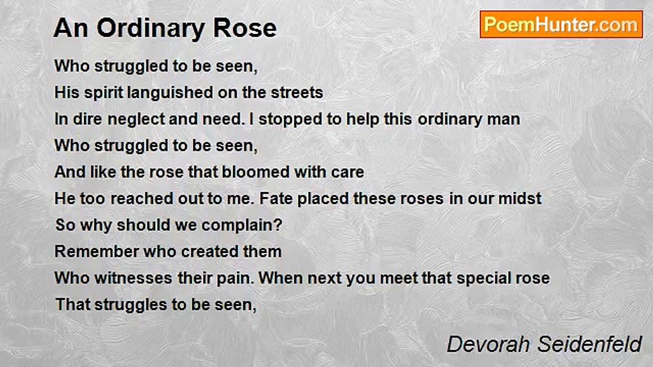 Devorah Seidenfeld - An Ordinary Rose