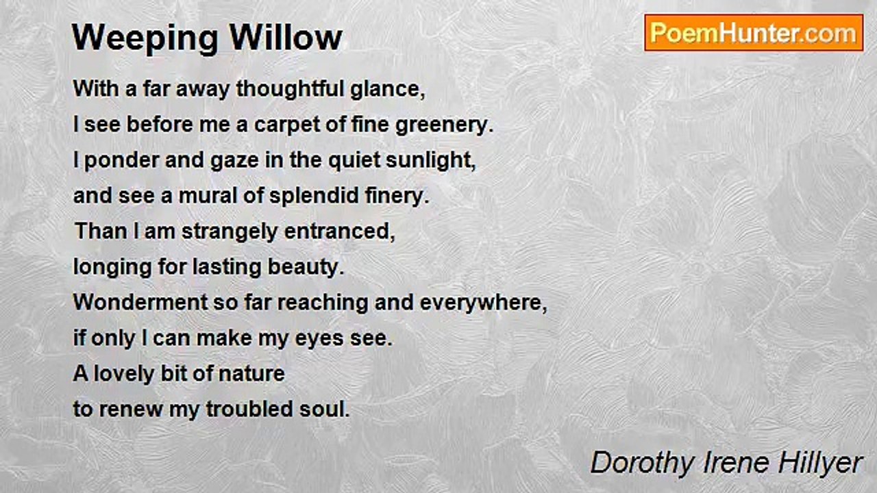 Dorothy Irene Hillyer - Weeping Willow
