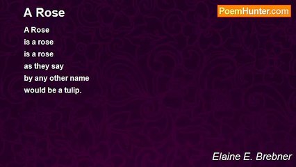 Elaine E. Brebner - A Rose