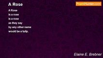 Elaine E. Brebner - A Rose