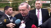 Berdimuhamedov, Cumhurbaşkanı Erdoğan'a At Hediye Etti