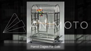 Parrot Cages For Sale