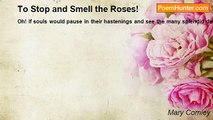 Mary Comley - To Stop and Smell the Roses!