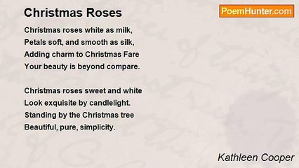 Kathleen Cooper - Christmas Roses
