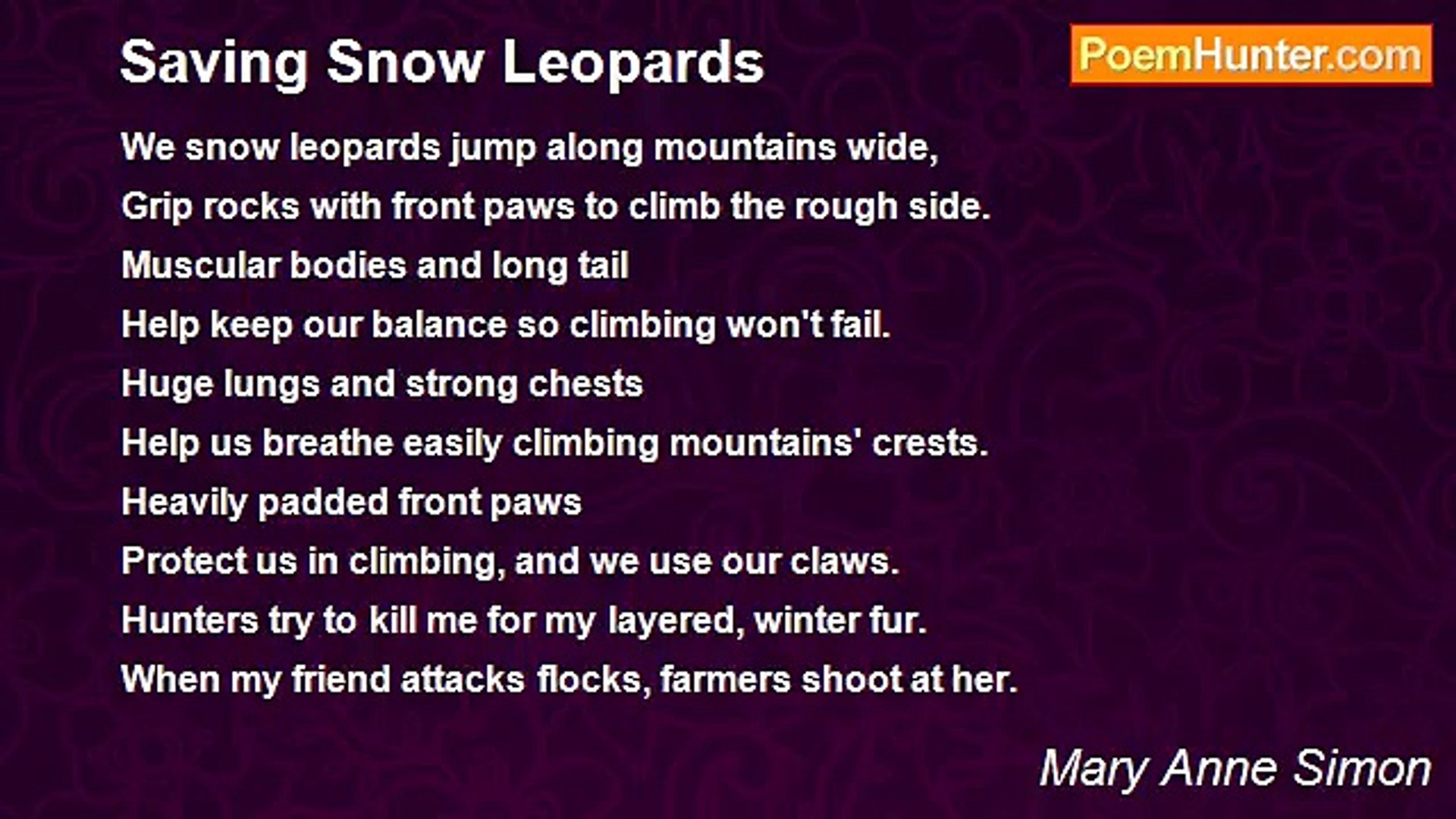 ⁣Mary Anne Simon - Saving Snow Leopards
