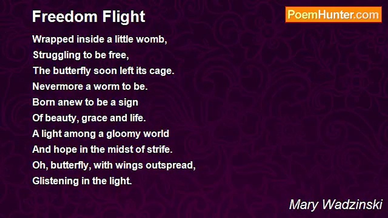 Mary Wadzinski - Freedom Flight