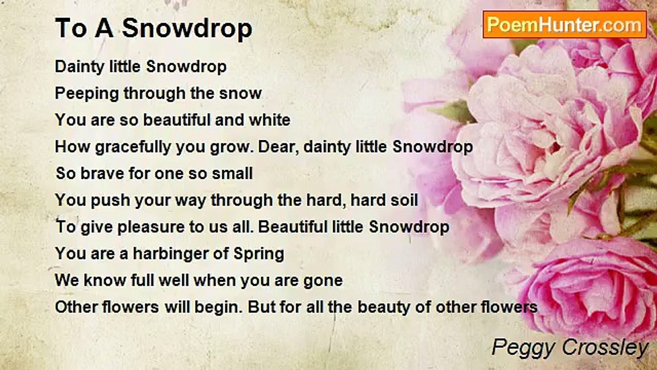 Peggy Crossley - To A Snowdrop