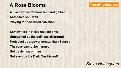 Steve Nottingham - A Rose Blooms