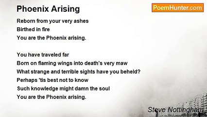 Steve Nottingham - Phoenix Arising