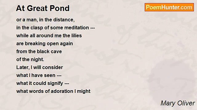 Mary Oliver - At Great Pond