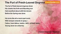 Gerard Manley Hopkins - The Furl of Fresh-Leaved Dogrose Down