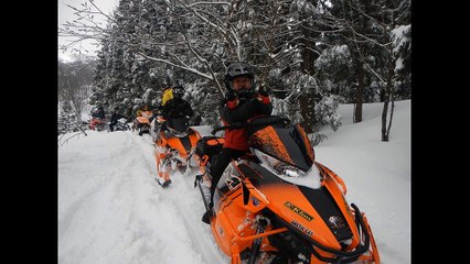 モビラーのミカタ