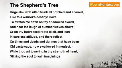 John Clare - The Shepherd's Tree