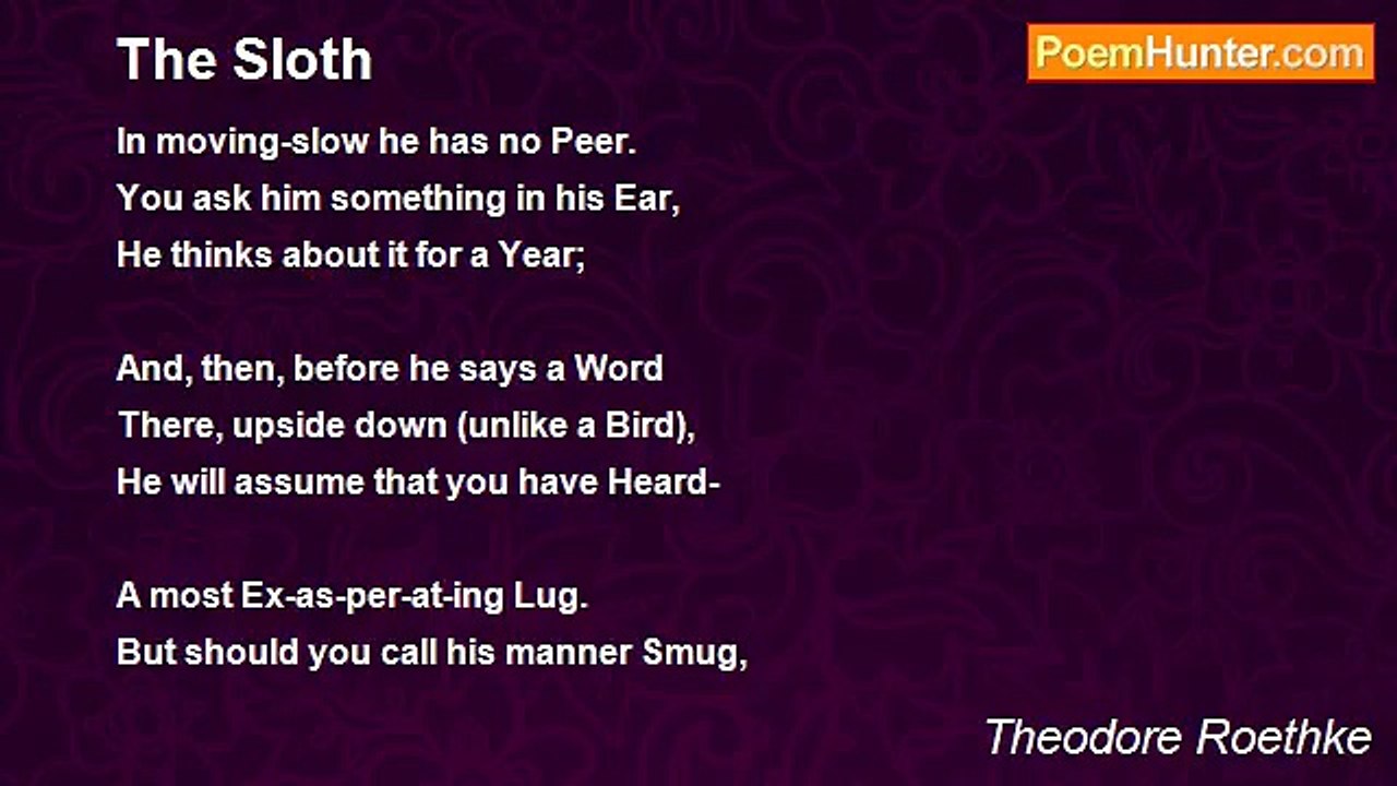 Theodore Roethke - The Sloth