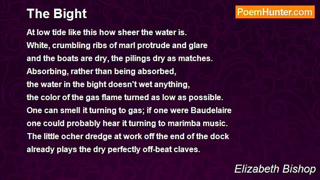 Elizabeth Bishop - The Bight