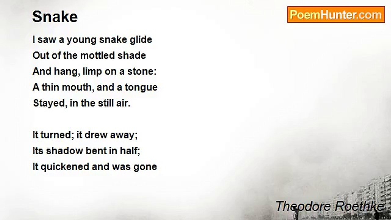 Theodore Roethke - Snake