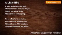 Alexander Sergeyevich Pushkin - A Little Bird