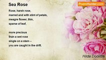 Hilda Doolittle - Sea Rose
