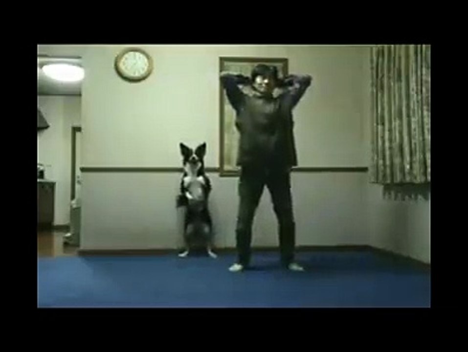 Funny Dog