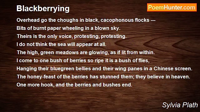 Sylvia Plath - Blackberrying