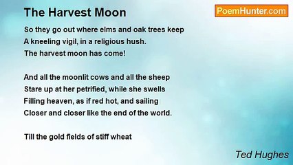 Ted Hughes - The Harvest Moon