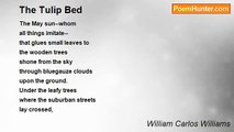 William Carlos Williams - The Tulip Bed
