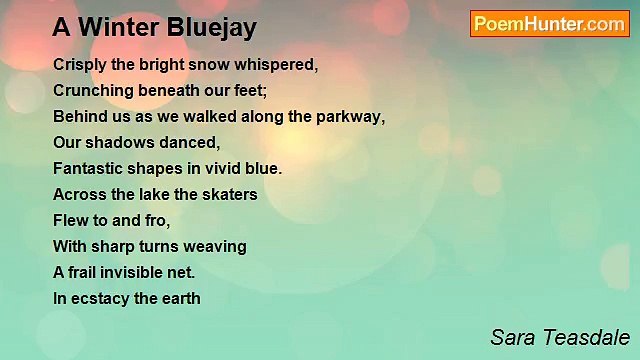 Sara Teasdale - A Winter Bluejay