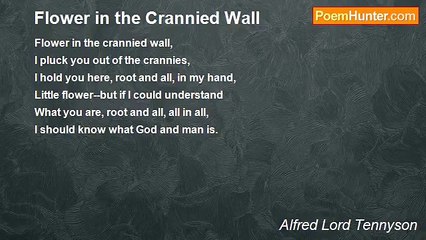 Alfred Lord Tennyson - Flower in the Crannied Wall