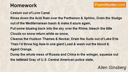 Allen Ginsberg - Homework