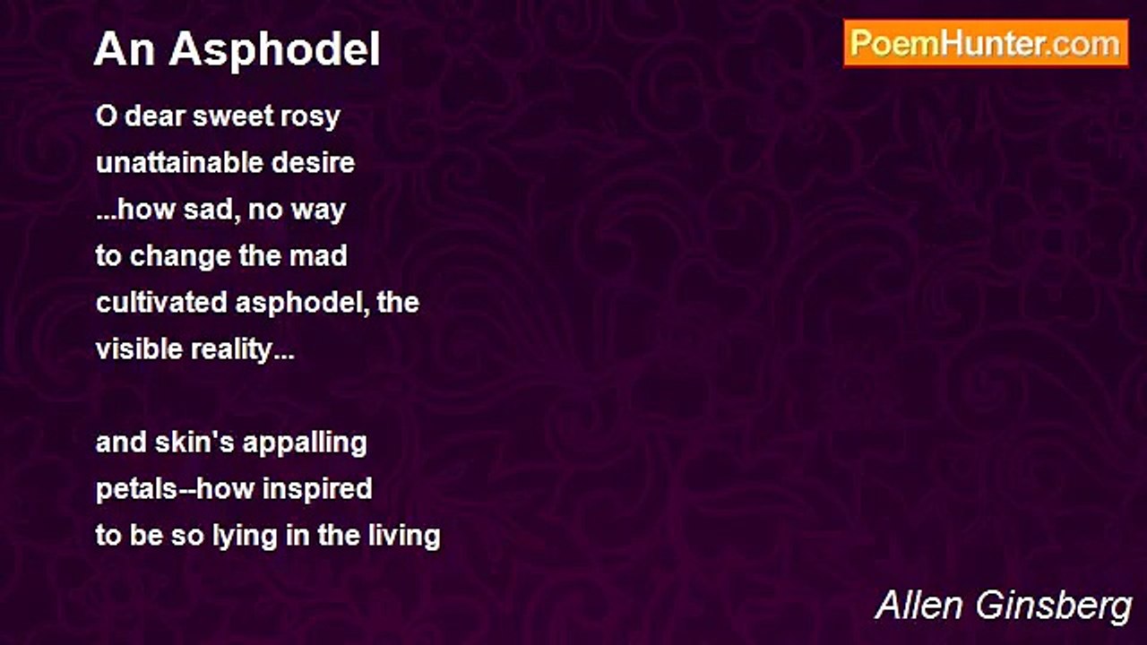 Allen Ginsberg - An Asphodel