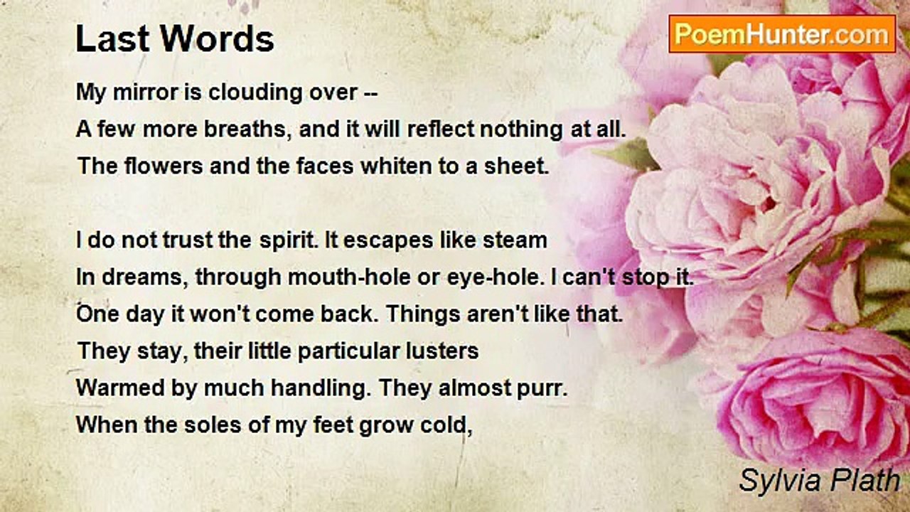 Sylvia Plath - Last Words