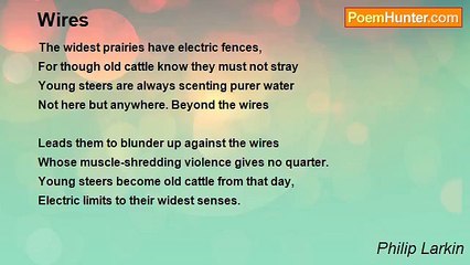 Philip Larkin - Wires