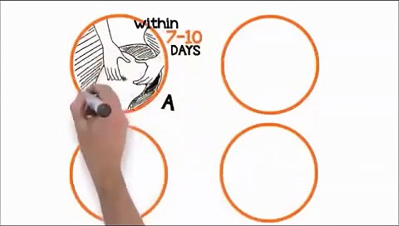 Truth About Cellulite Joey Atlas, Naked Beauty the Symulast Method Review Cellulite Removal